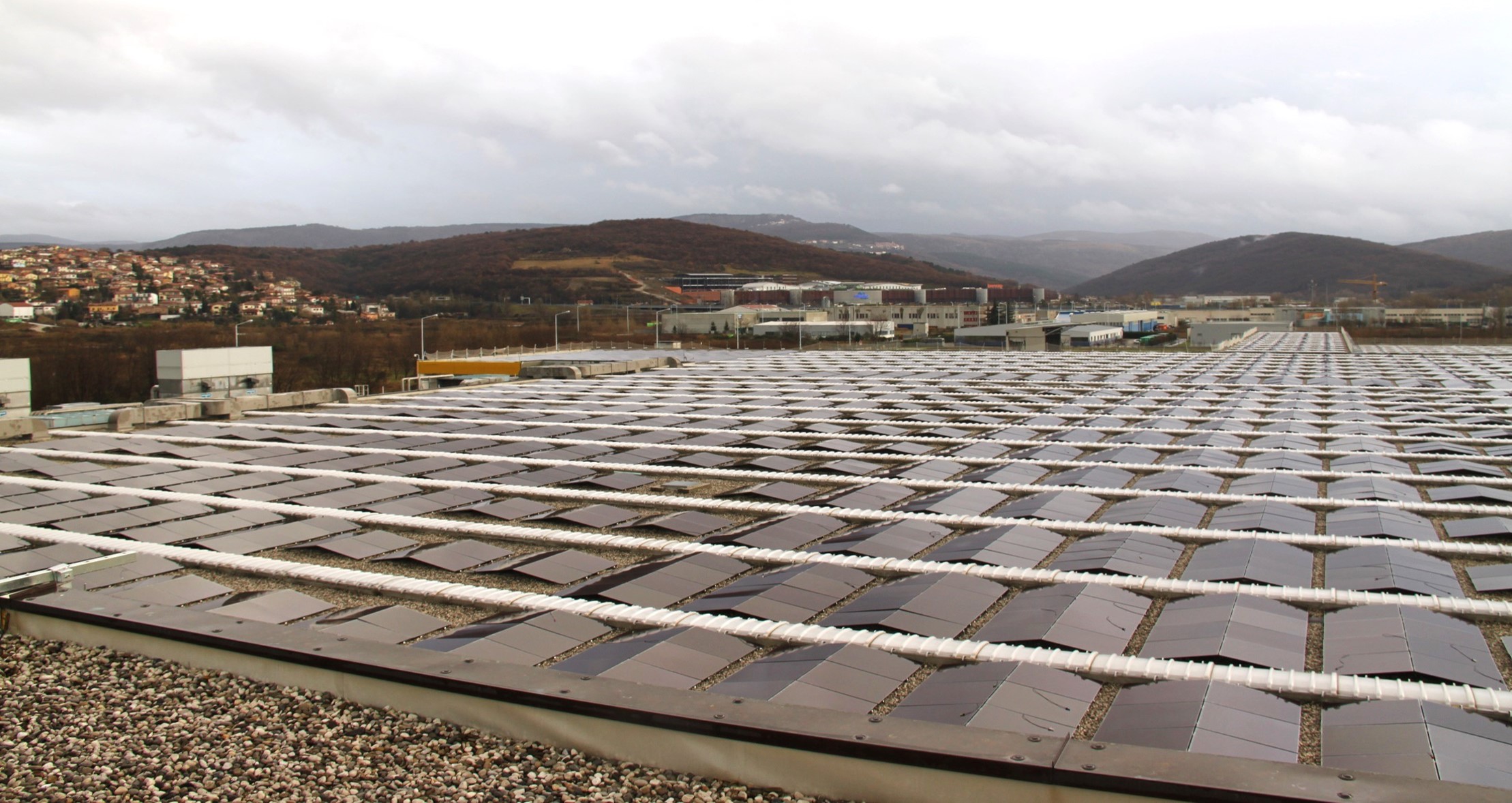 Cantiere Pasta Zara Muggia